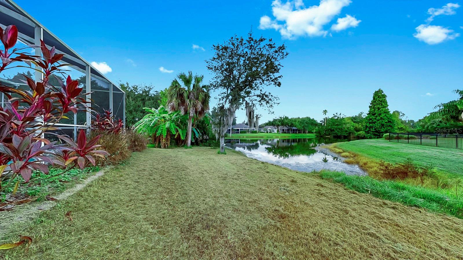 15513 MARTINMEADOW DR, LITHIA, FL, 33547