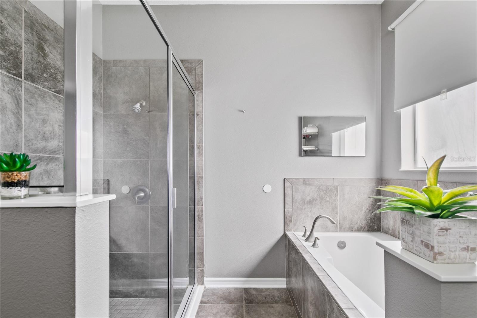 1710 PLANTATION POINTE DR, ORLANDO, FL, 32824