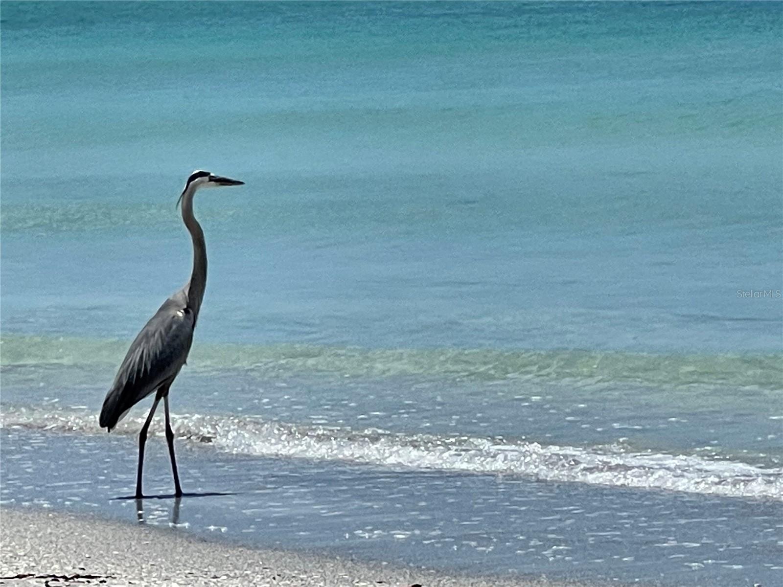 A4669533 Property Photo