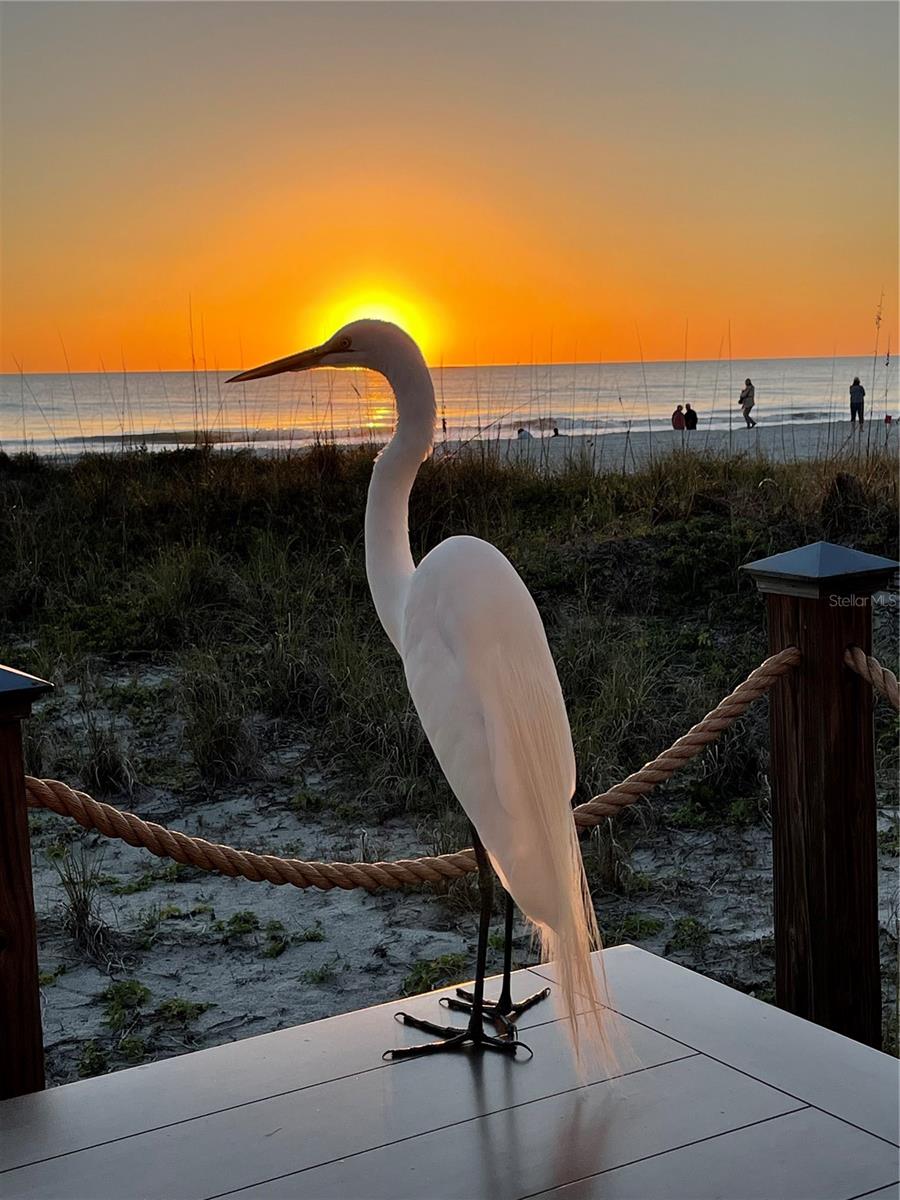 A4669533 Property Photo