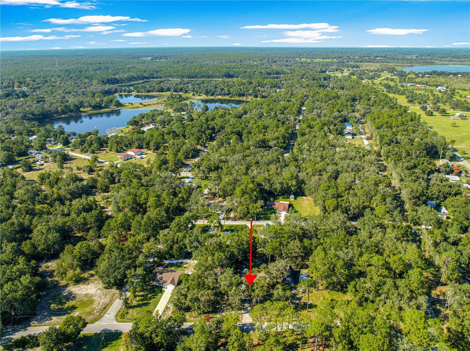 17051 SE 61ST PL, OCKLAWAHA, FL, 32179