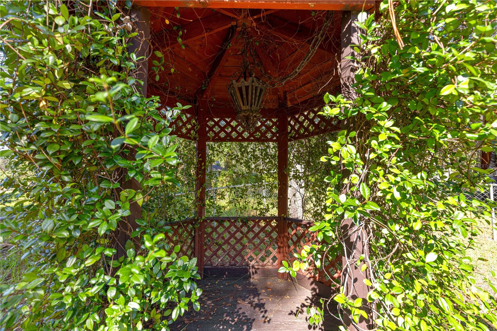 17051 SE 61ST PL, OCKLAWAHA, FL, 32179