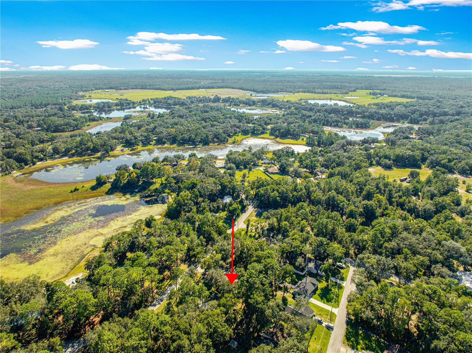 17051 SE 61ST PL, OCKLAWAHA, FL, 32179