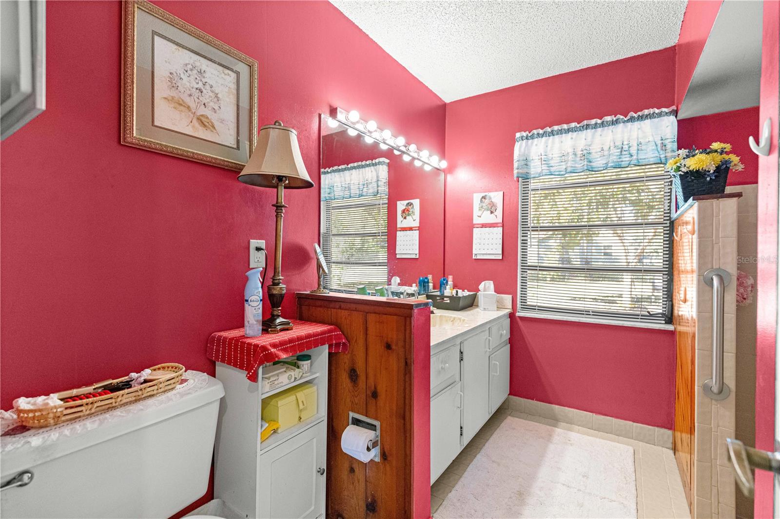 17051 SE 61ST PL, OCKLAWAHA, FL, 32179