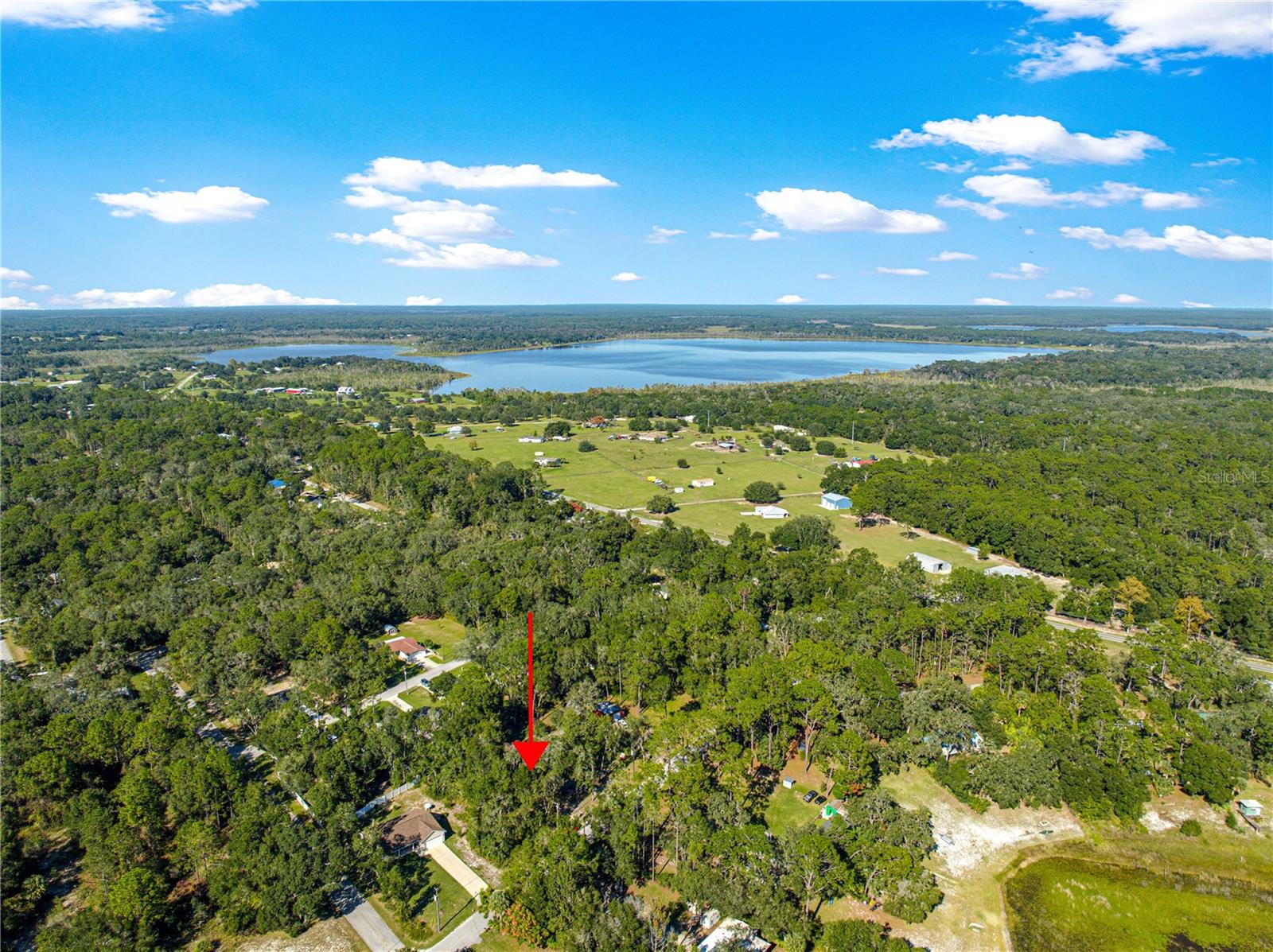 17051 SE 61ST PL, OCKLAWAHA, FL, 32179