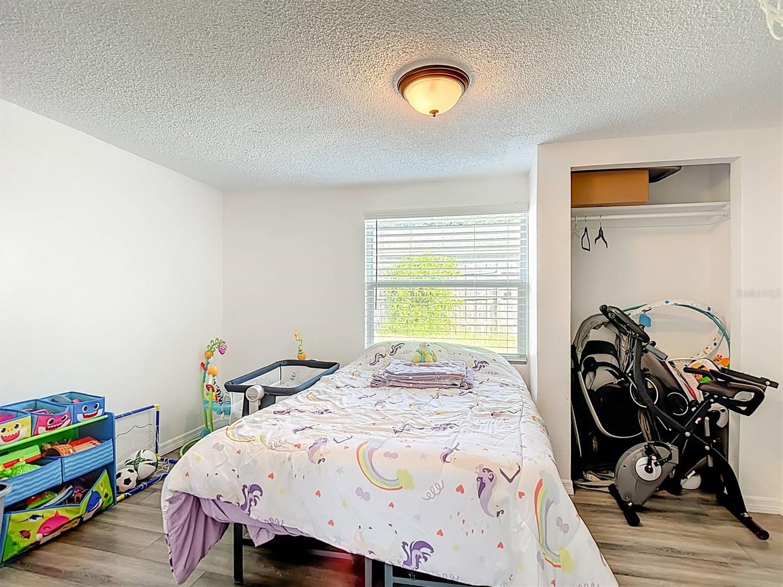 5533 RIDDLE RD, HOLIDAY, FL, 34690