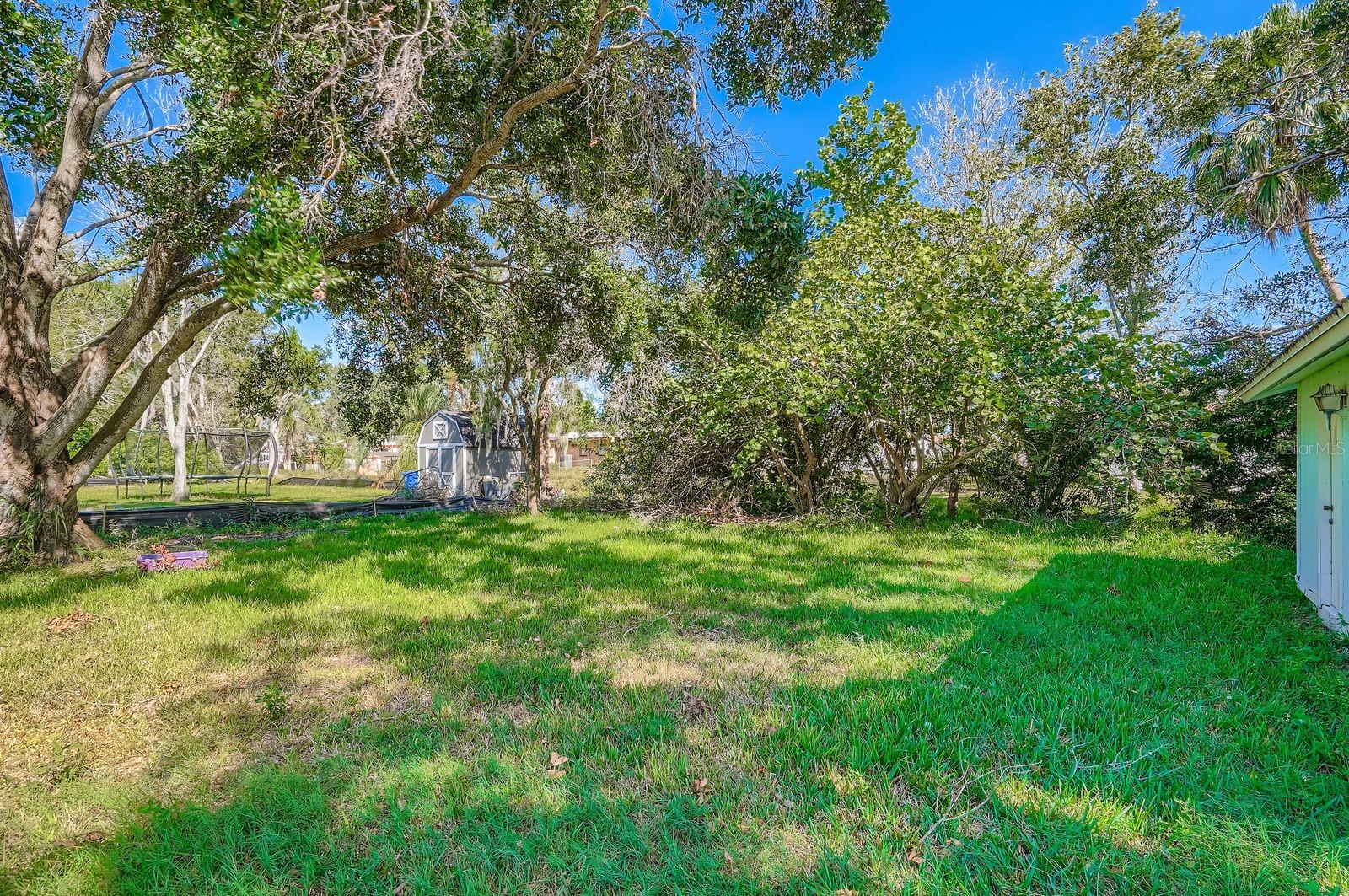 421 SHORE DR E, OLDSMAR, FL, 34677