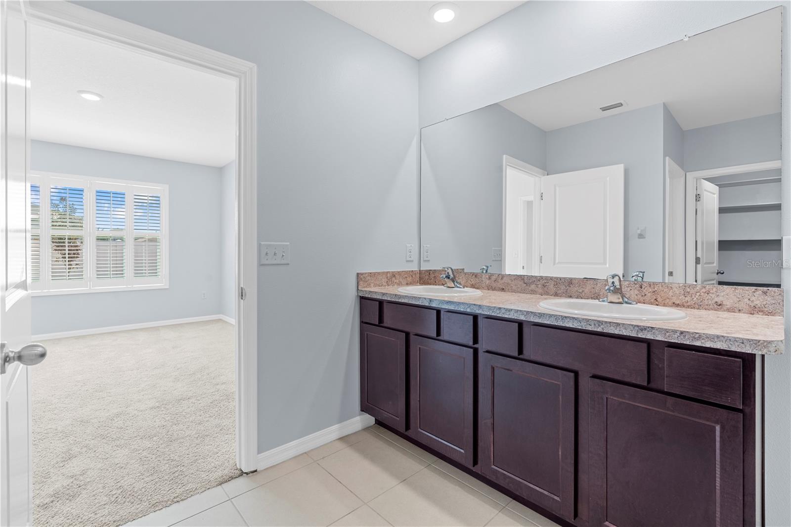 10233 OPALINE SKY CT, RIVERVIEW, FL, 33578