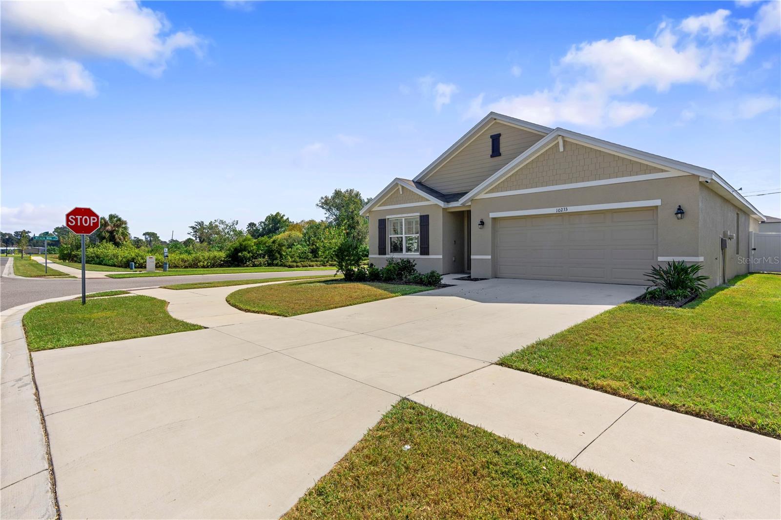 10233 OPALINE SKY CT, RIVERVIEW, FL, 33578