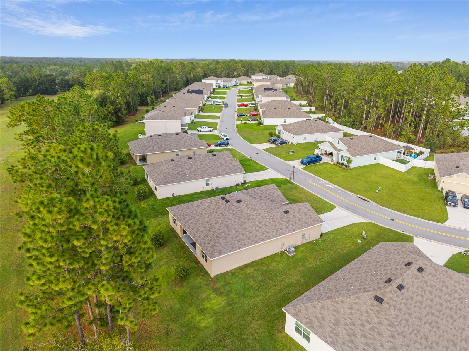 141 HICKORY COURSE CIR, OCALA, FL, 34472