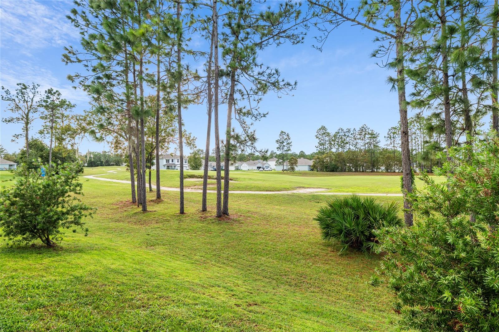 141 HICKORY COURSE CIR, OCALA, FL, 34472