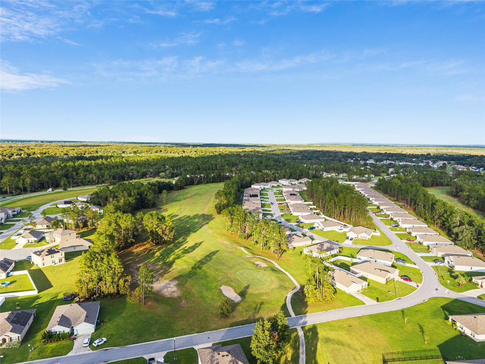 141 HICKORY COURSE CIR, OCALA, FL, 34472