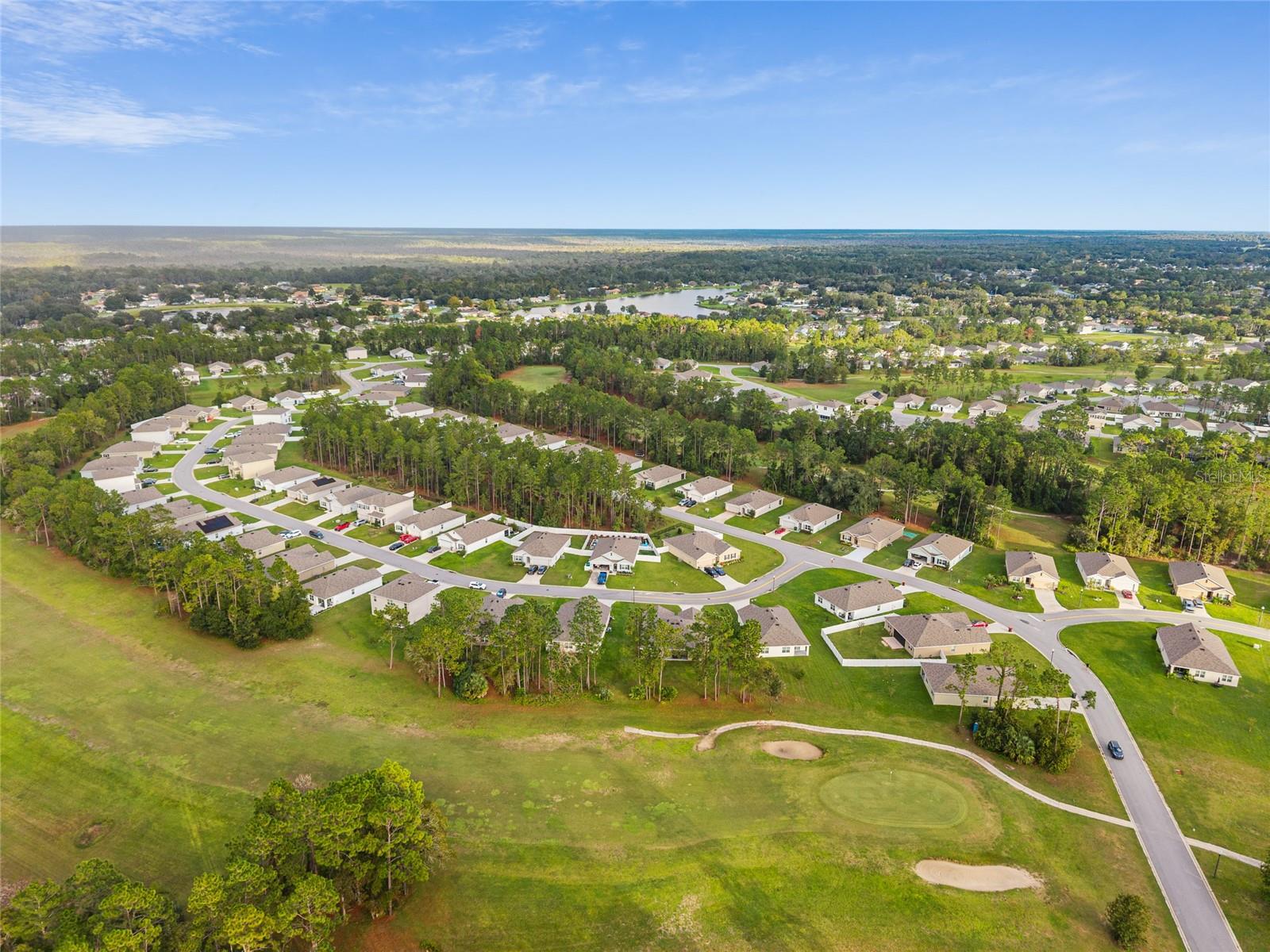 141 HICKORY COURSE CIR, OCALA, FL, 34472