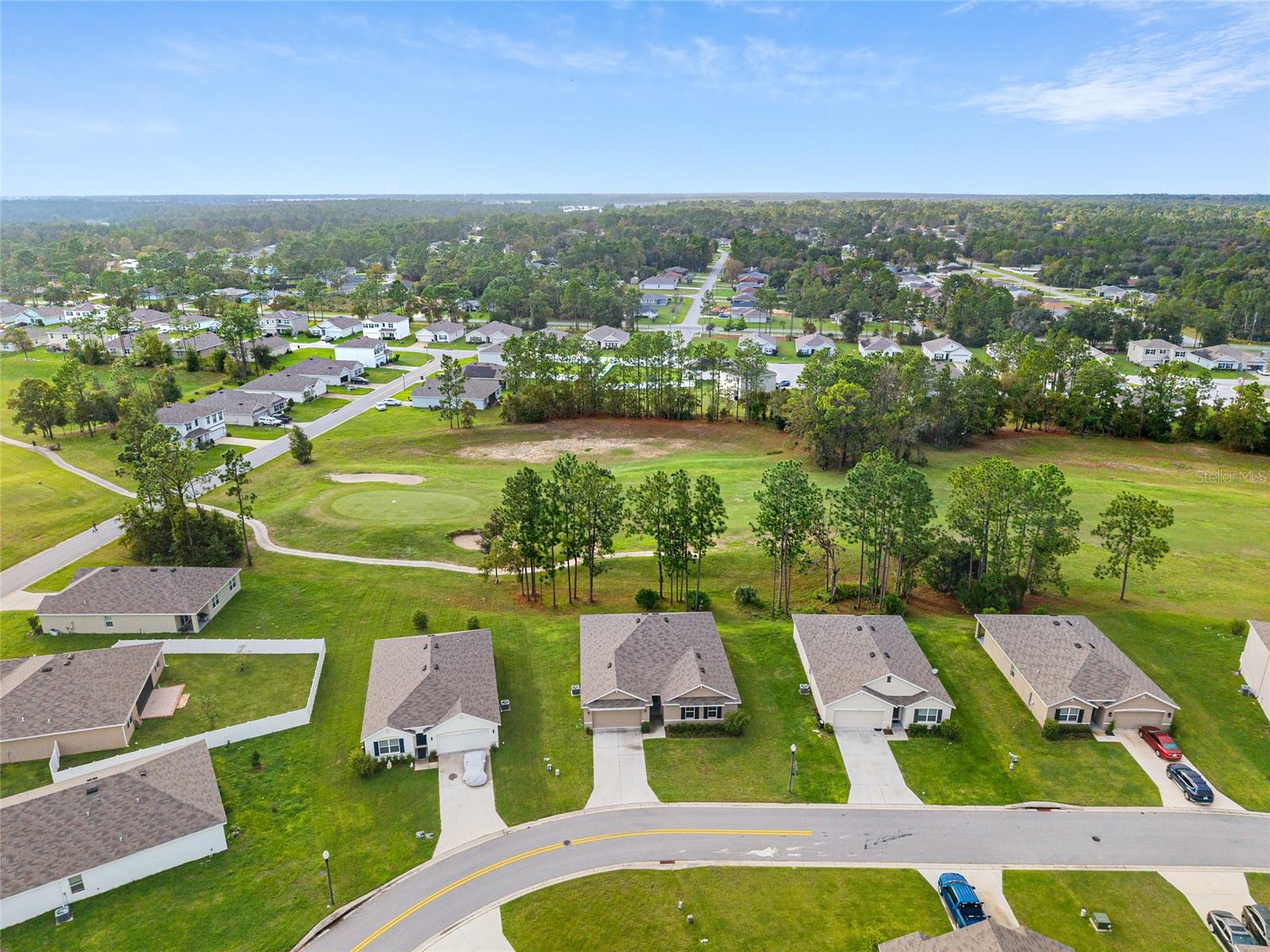 141 HICKORY COURSE CIR, OCALA, FL, 34472