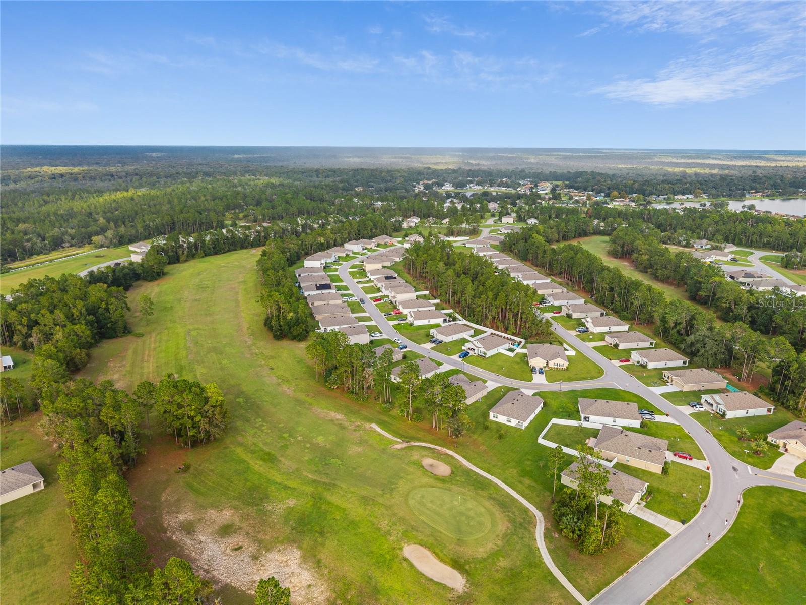 141 HICKORY COURSE CIR, OCALA, FL, 34472