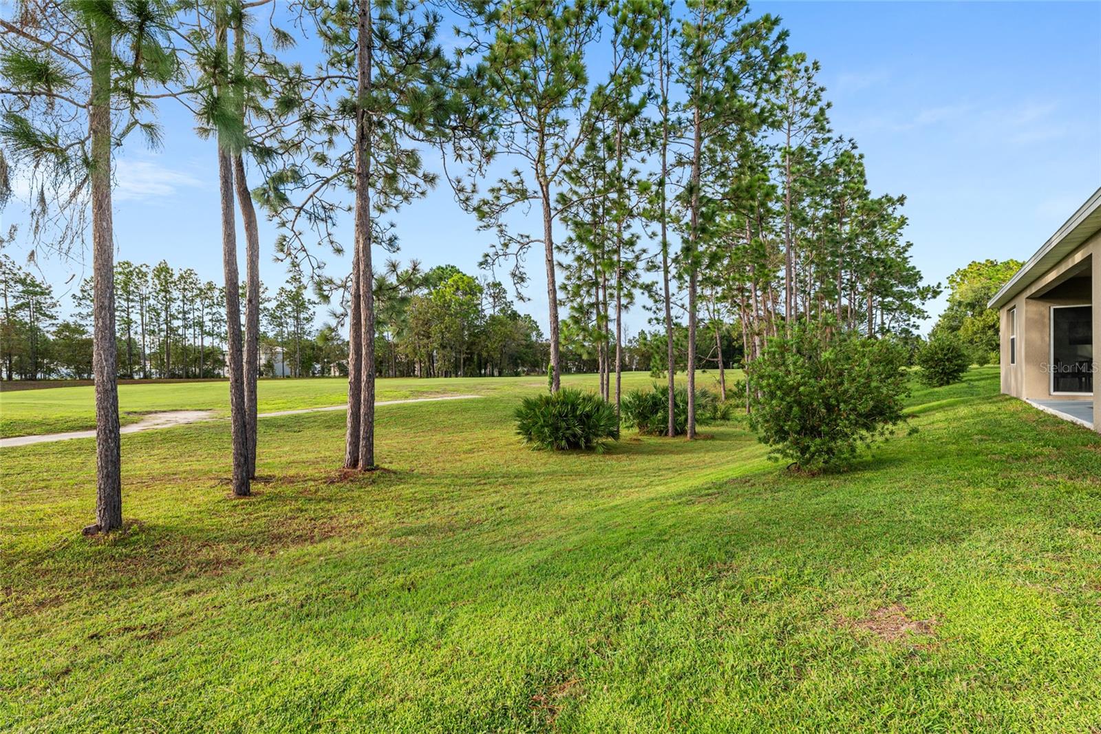 141 HICKORY COURSE CIR, OCALA, FL, 34472