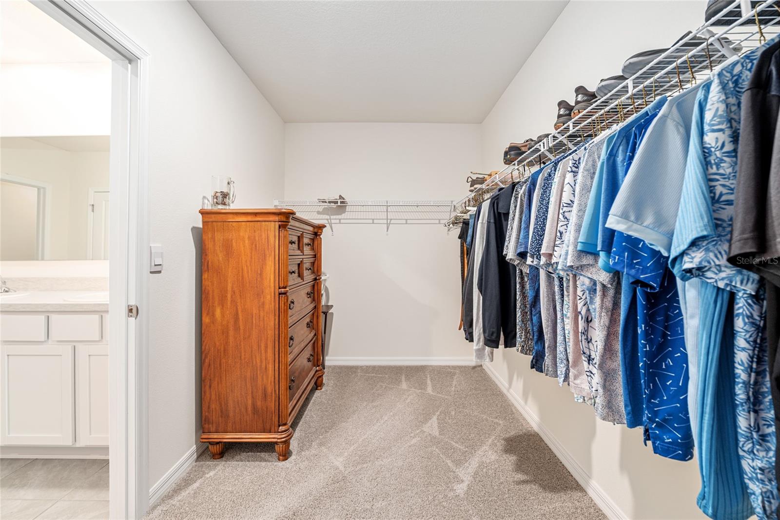 141 HICKORY COURSE CIR, OCALA, FL, 34472