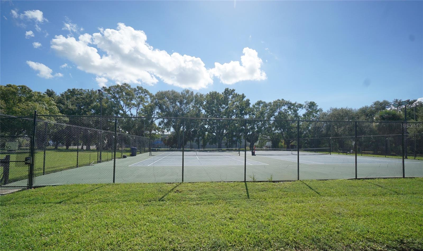 4515 LA CAPRI CT, TAMPA, FL, 33611