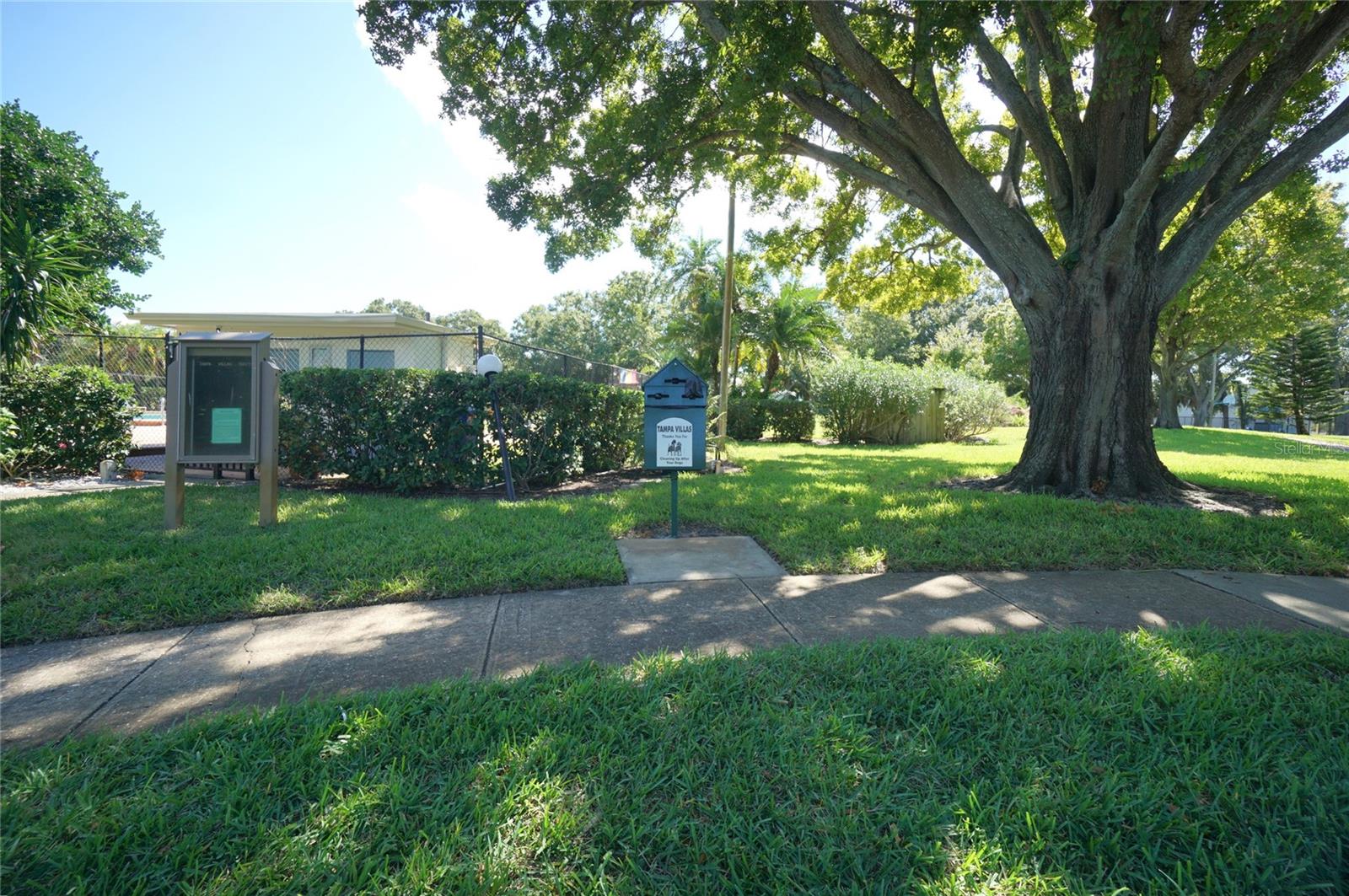 4515 LA CAPRI CT, TAMPA, FL, 33611