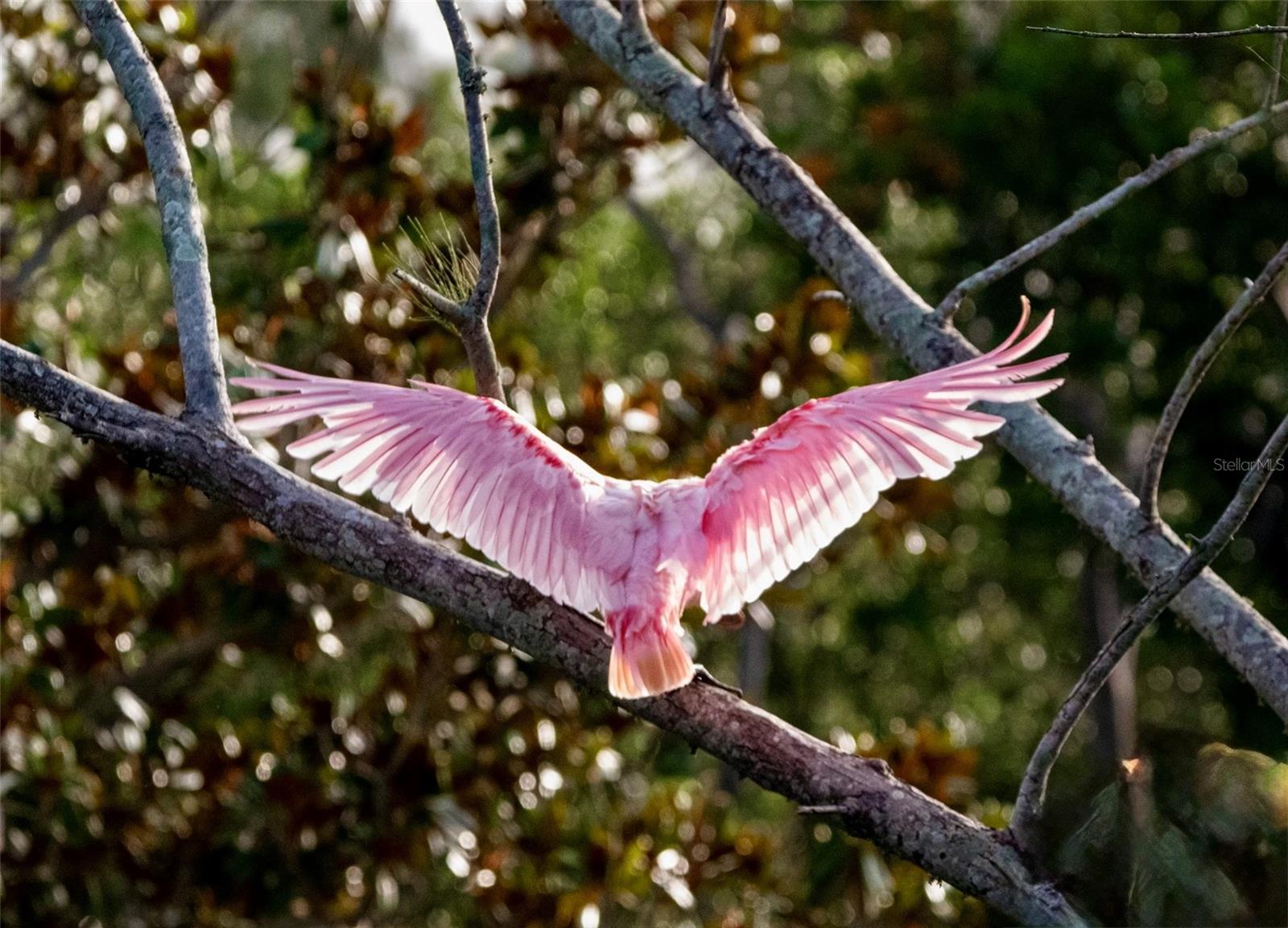 9512 COLONIAL DR, BRADENTON, FL, 34210