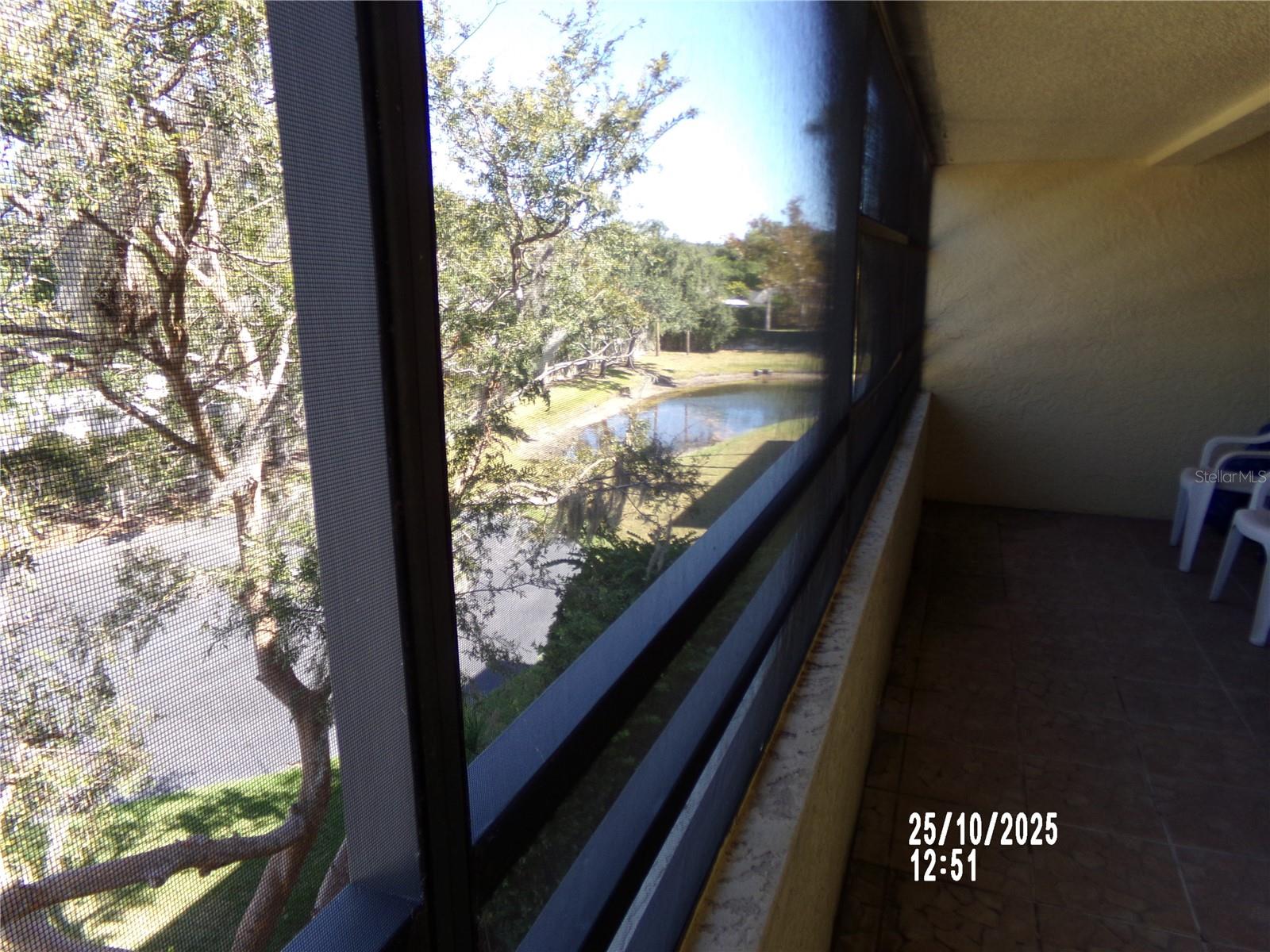 13612 S VILLAGE DR #5307, TAMPA, FL, 33618