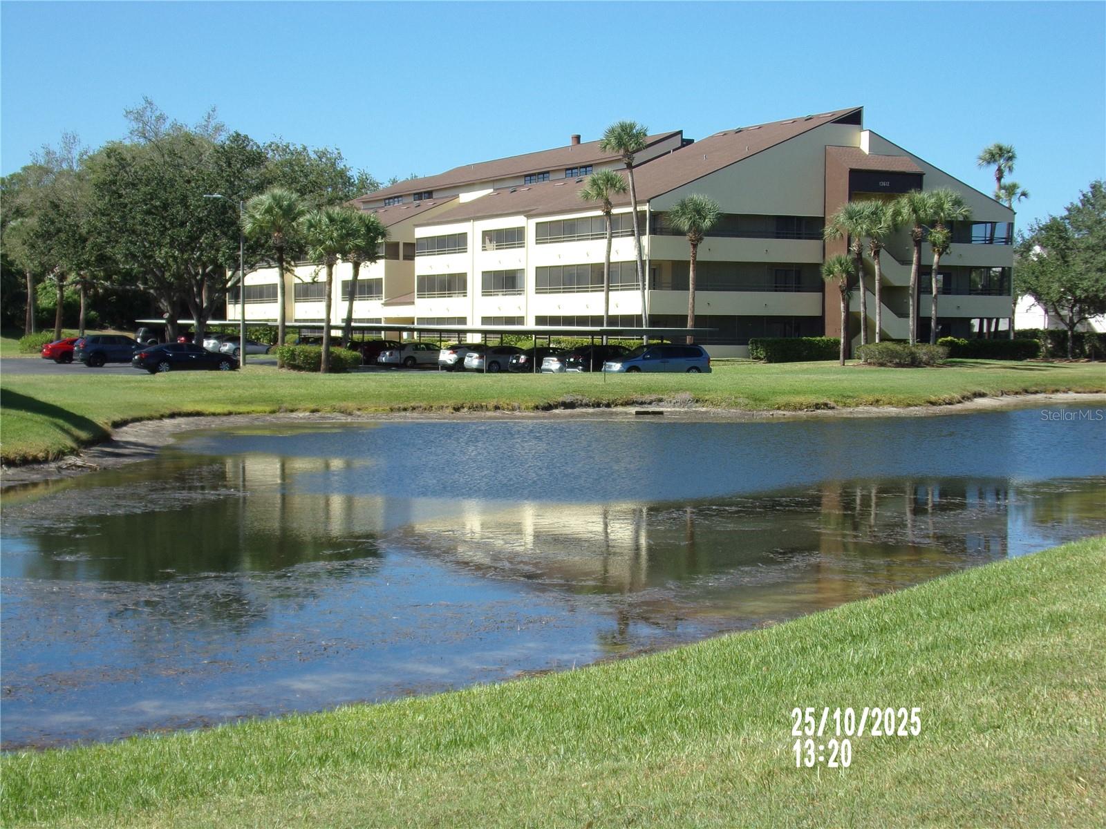 13612 S VILLAGE DR #5307, TAMPA, FL, 33618