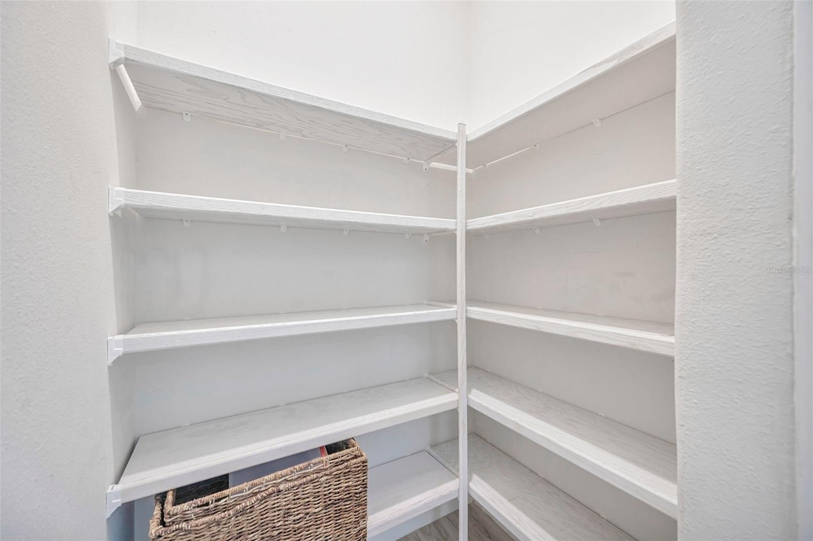 13539 CARRYBACK DR, DADE CITY, FL, 33525