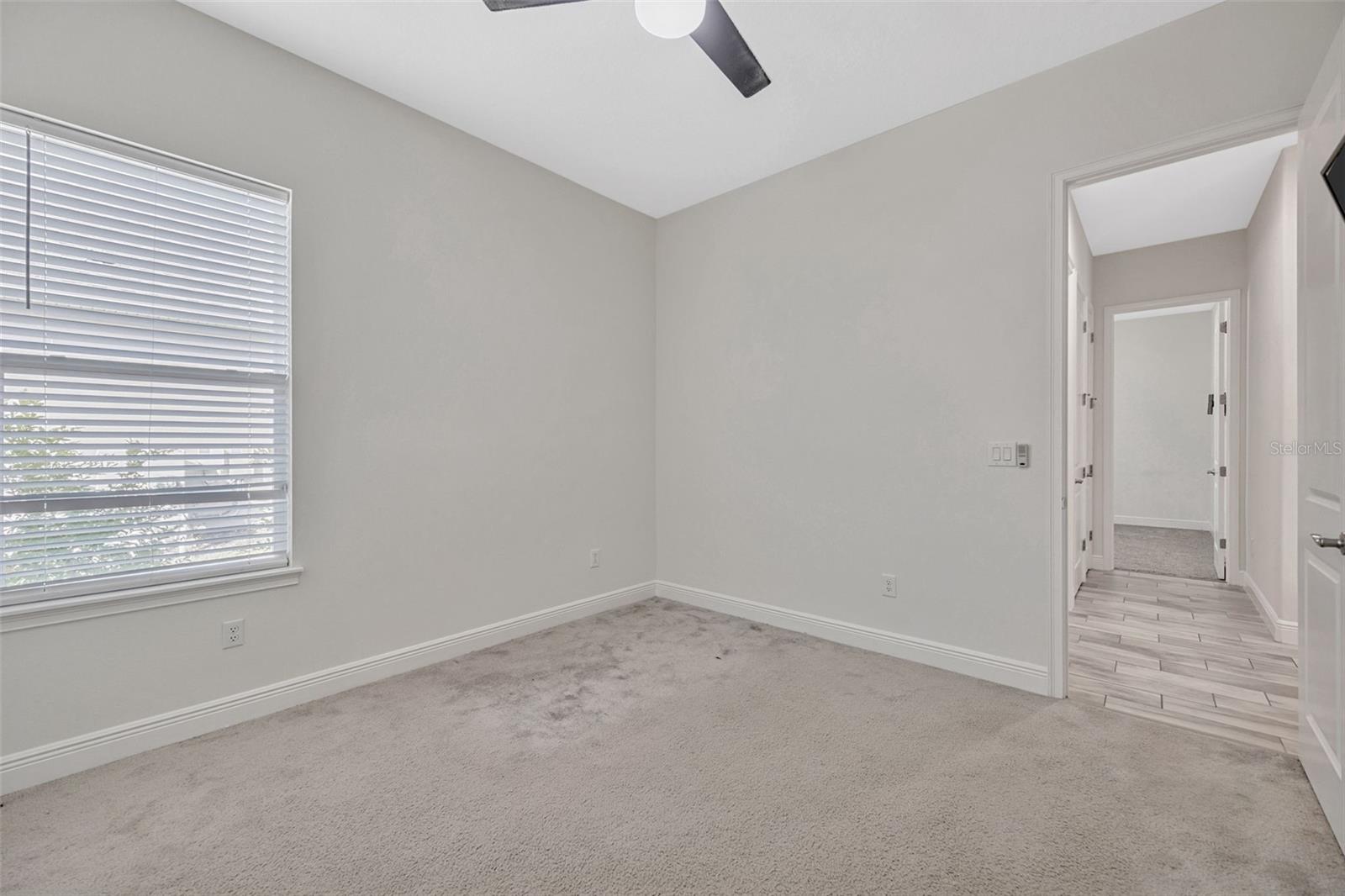 13539 CARRYBACK DR, DADE CITY, FL, 33525