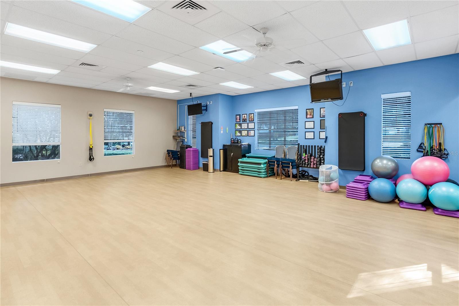 26931 CAMERONS RUN, LEESBURG, FL, 34748