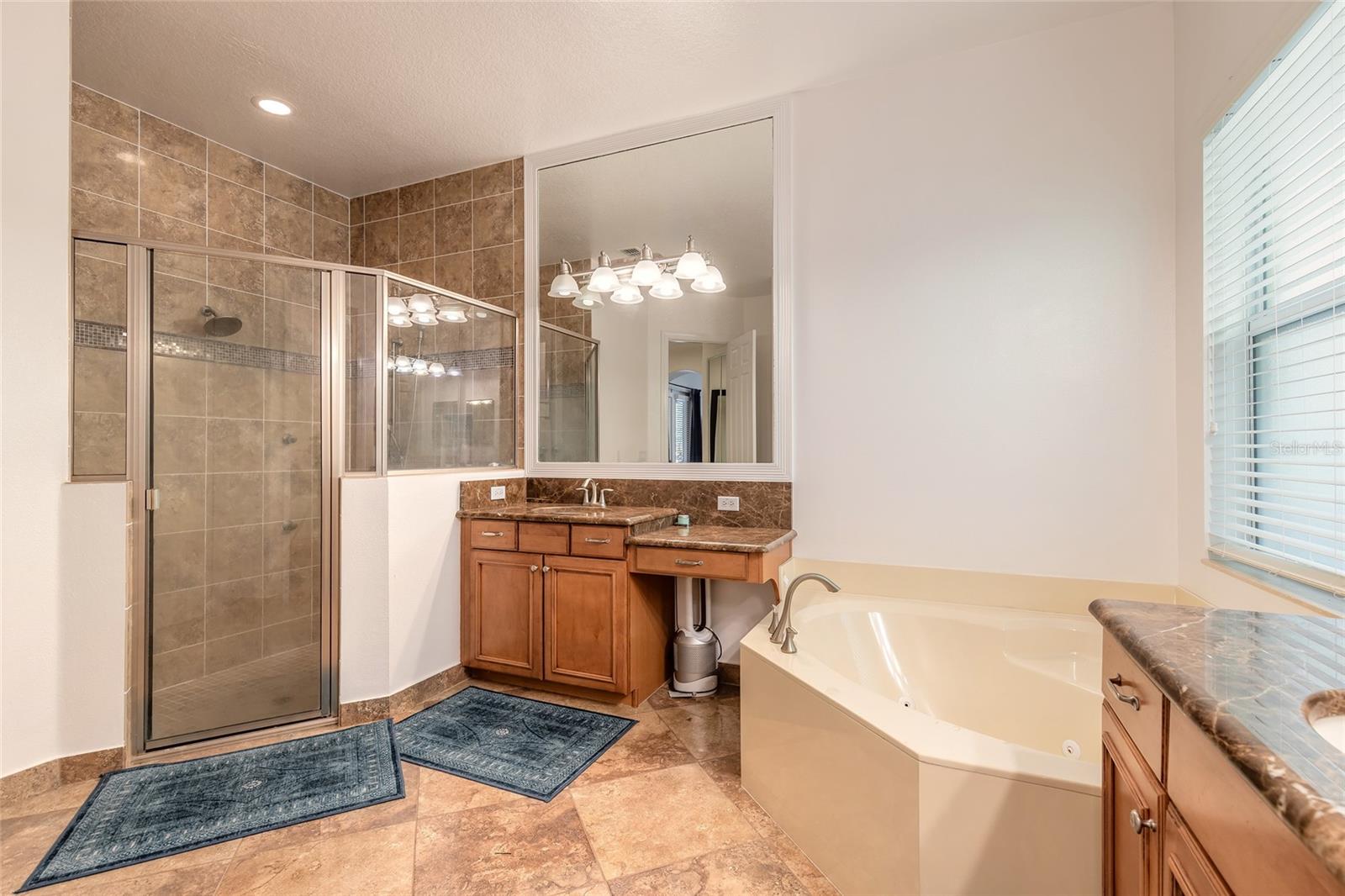 2009 RICKOVER PL, WINTER GARDEN, FL, 34787