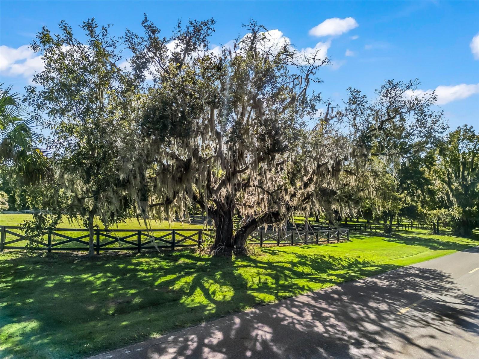 TBD HWY 329, REDDICK, FL, 32686