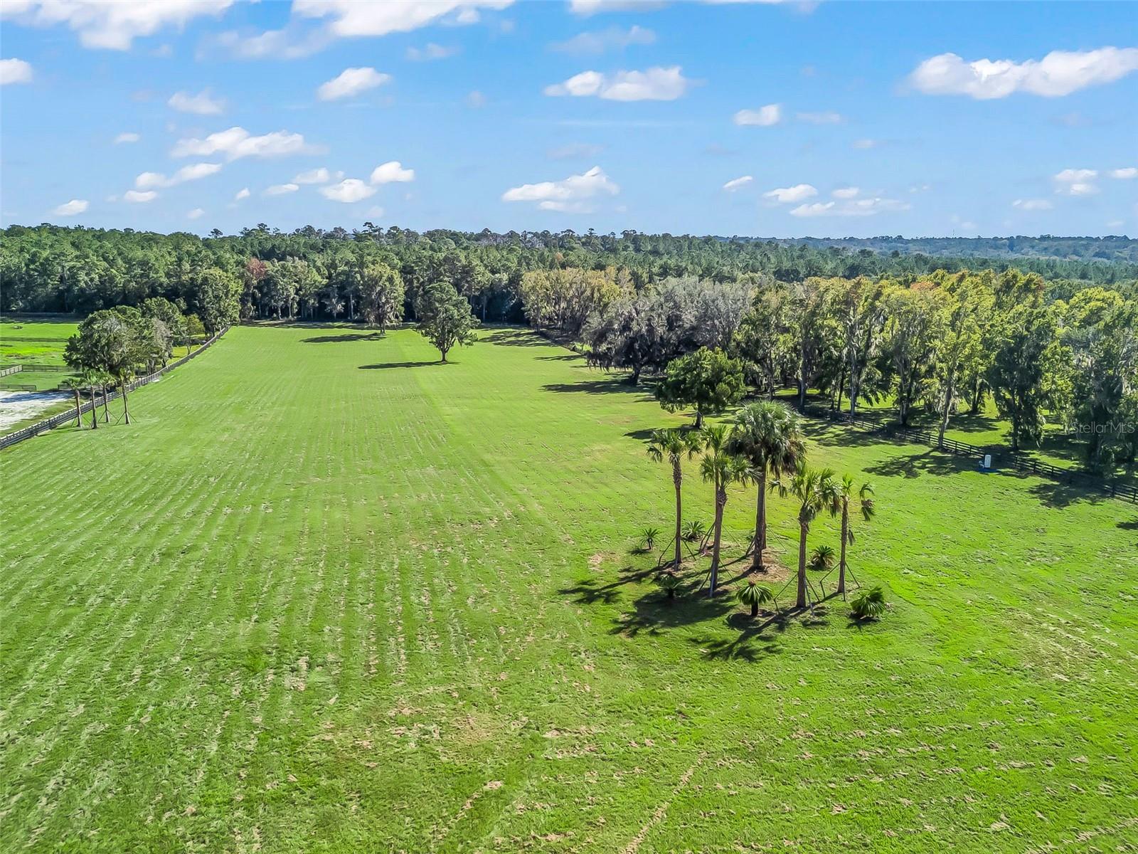 TBD HWY 329, REDDICK, FL, 32686