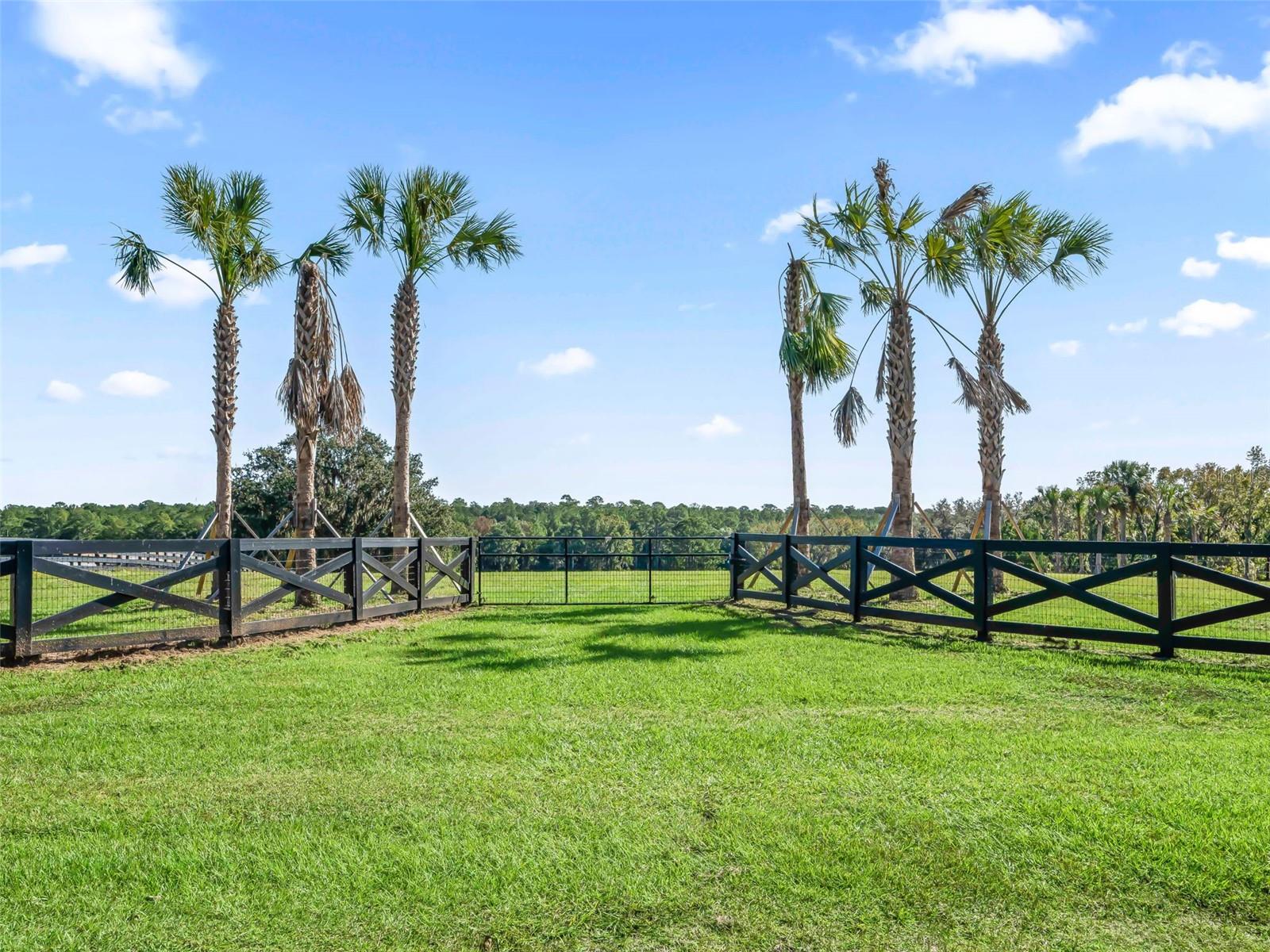 TBD HWY 329, REDDICK, FL, 32686