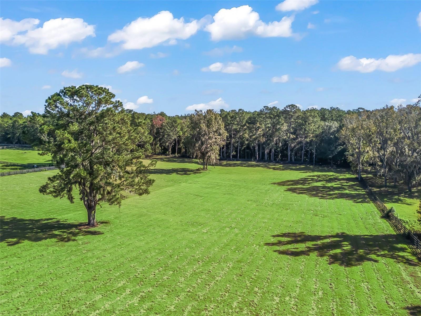 TBD HWY 329, REDDICK, FL, 32686