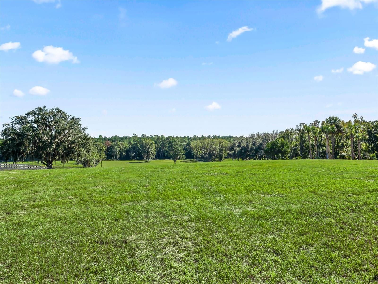 TBD HWY 329, REDDICK, FL, 32686