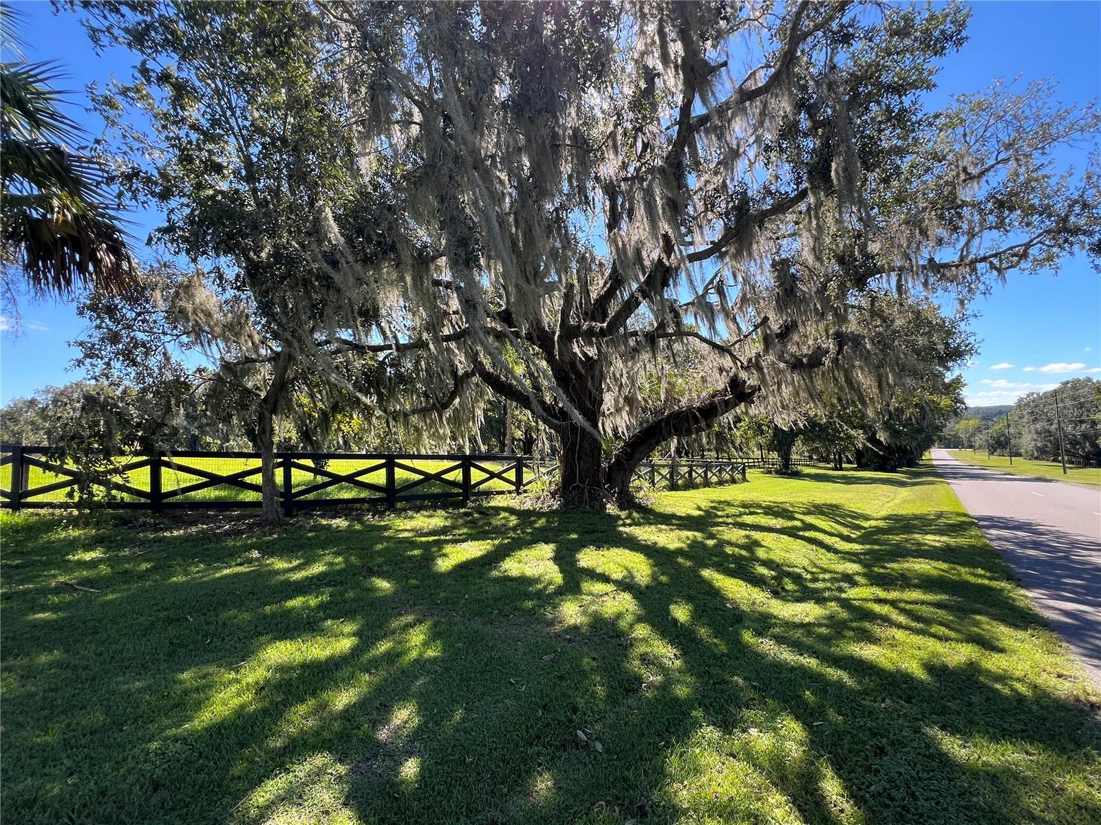 TBD HWY 329, REDDICK, FL, 32686