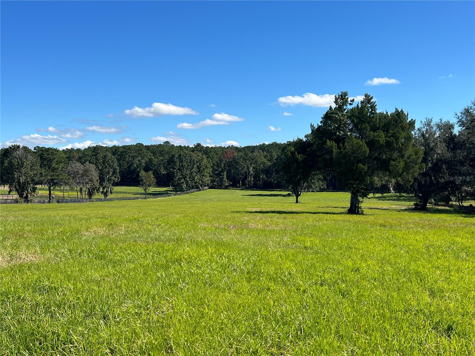 TBD HWY 329, REDDICK, FL, 32686