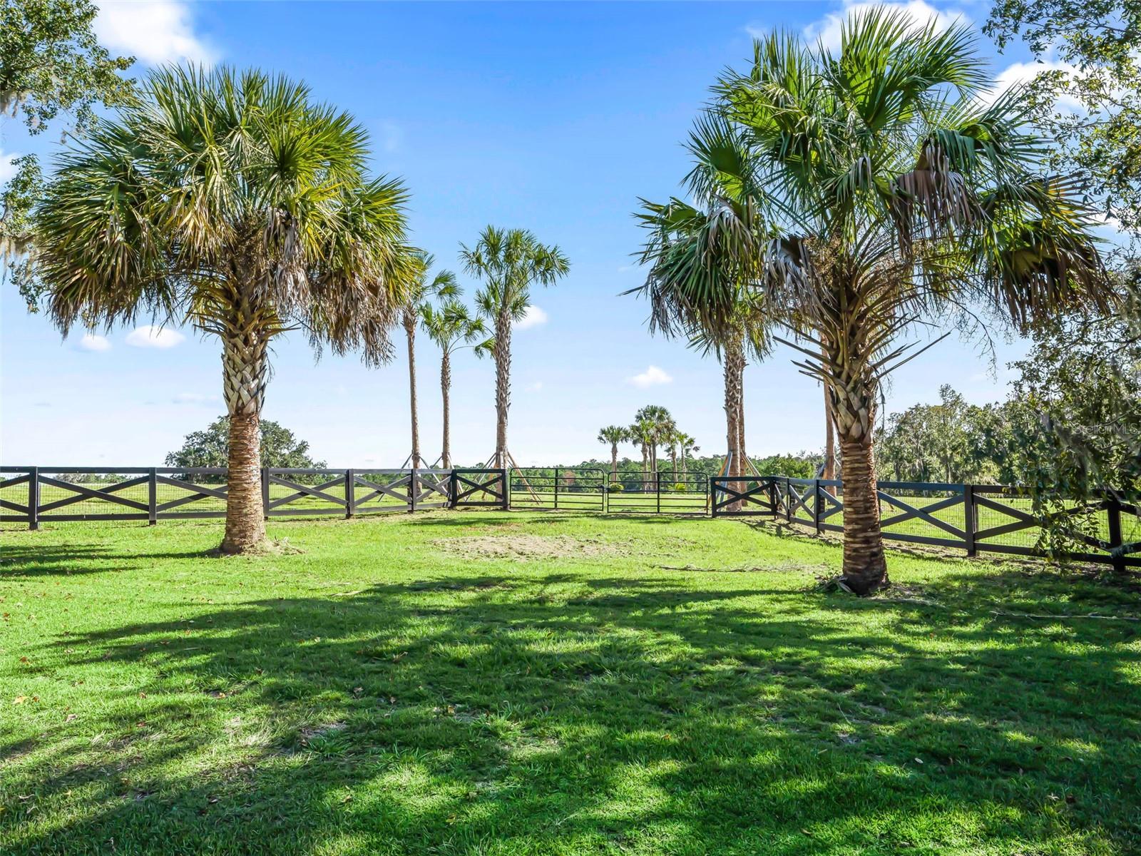 TBD HWY 329, REDDICK, FL, 32686
