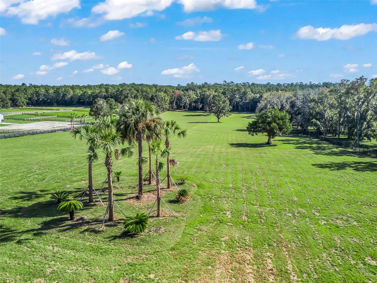 TBD HWY 329, REDDICK, FL, 32686