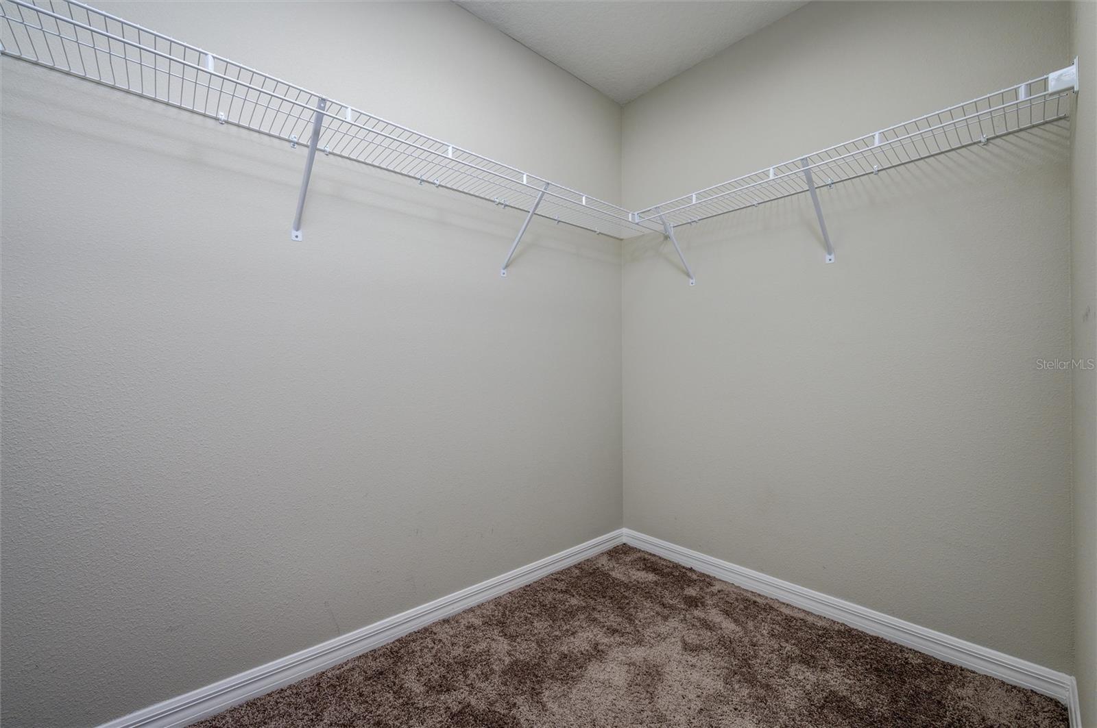 34200 SCARLET SAGE CT, WESLEY CHAPEL, FL, 33545