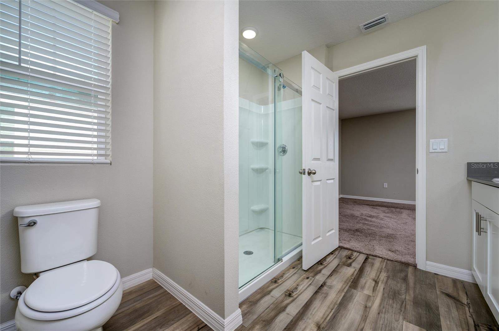 34200 SCARLET SAGE CT, WESLEY CHAPEL, FL, 33545