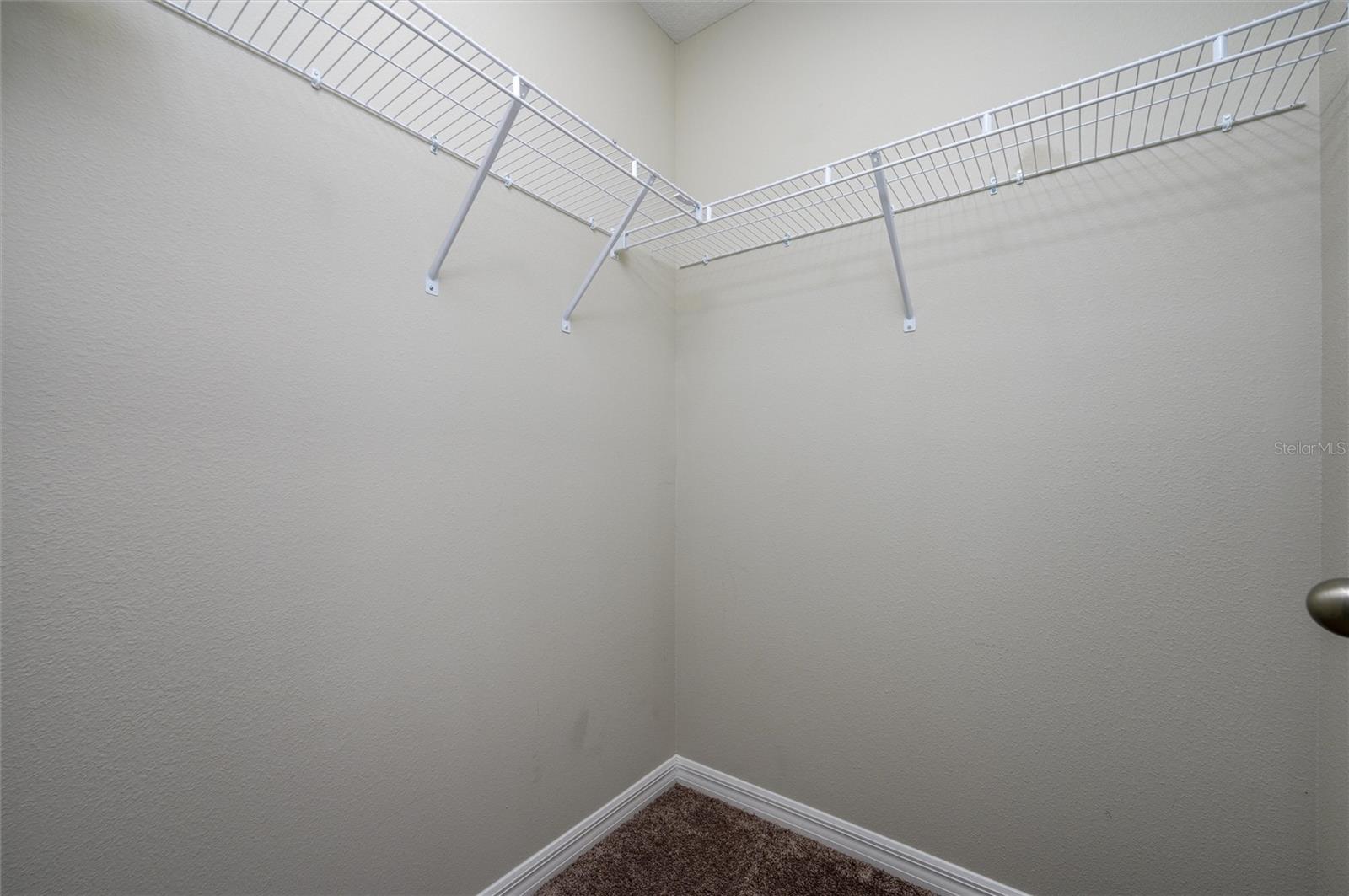 34200 SCARLET SAGE CT, WESLEY CHAPEL, FL, 33545