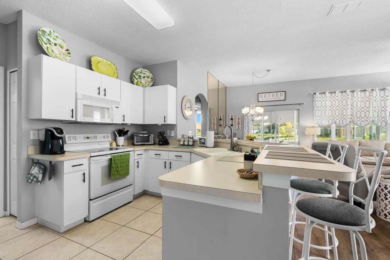 1014 RADISON LAKE CT #58, SUN CITY CENTER, FL, 33573