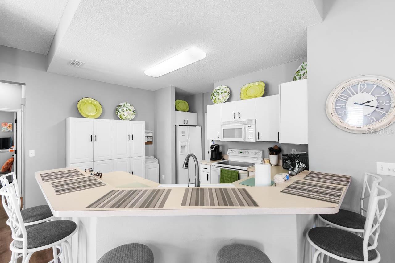 1014 RADISON LAKE CT #58, SUN CITY CENTER, FL, 33573