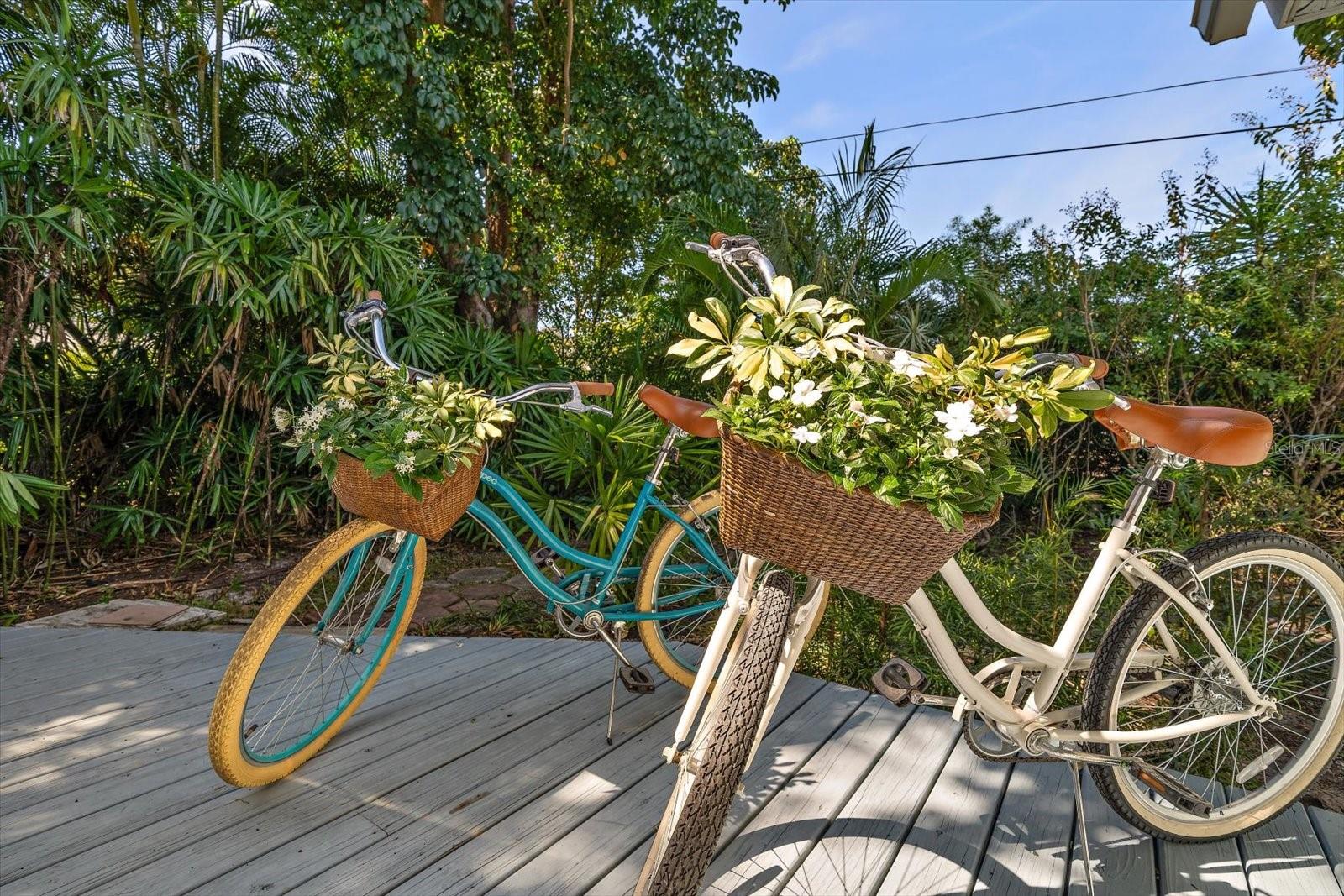 503 POINSETTIA RD, BELLEAIR, FL, 33756