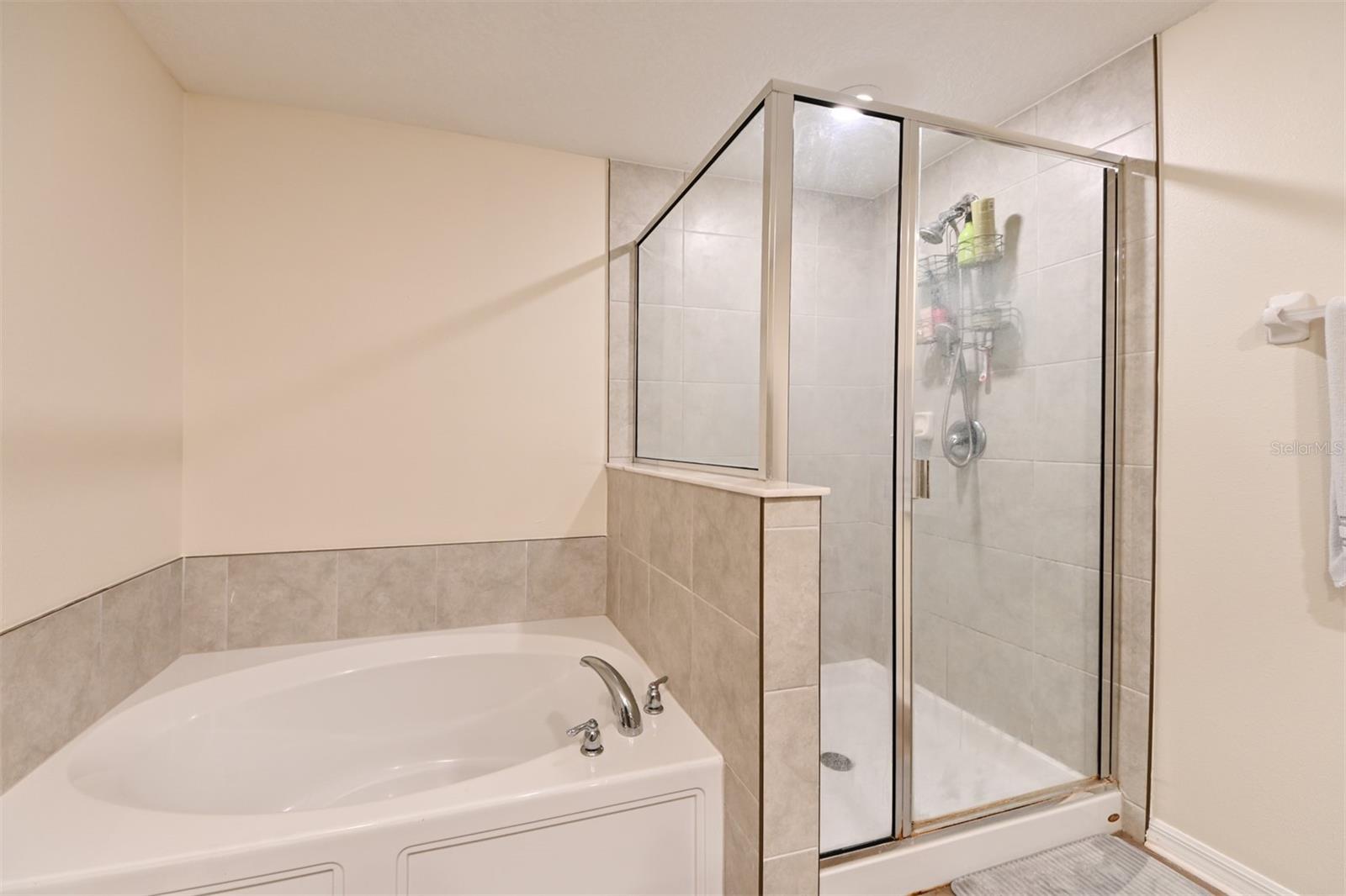 736 ROYAL EMPRESS DR, RUSKIN, FL, 33570