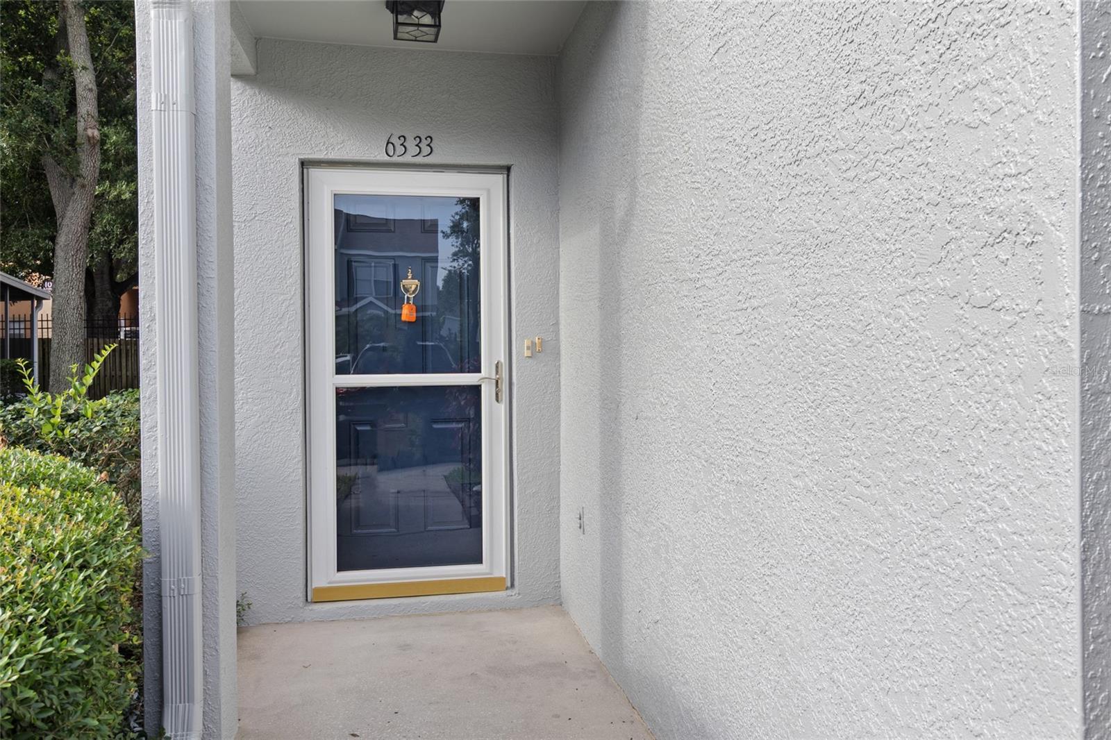 6333 OSPREY LAKE CIR, RIVERVIEW, FL, 33578