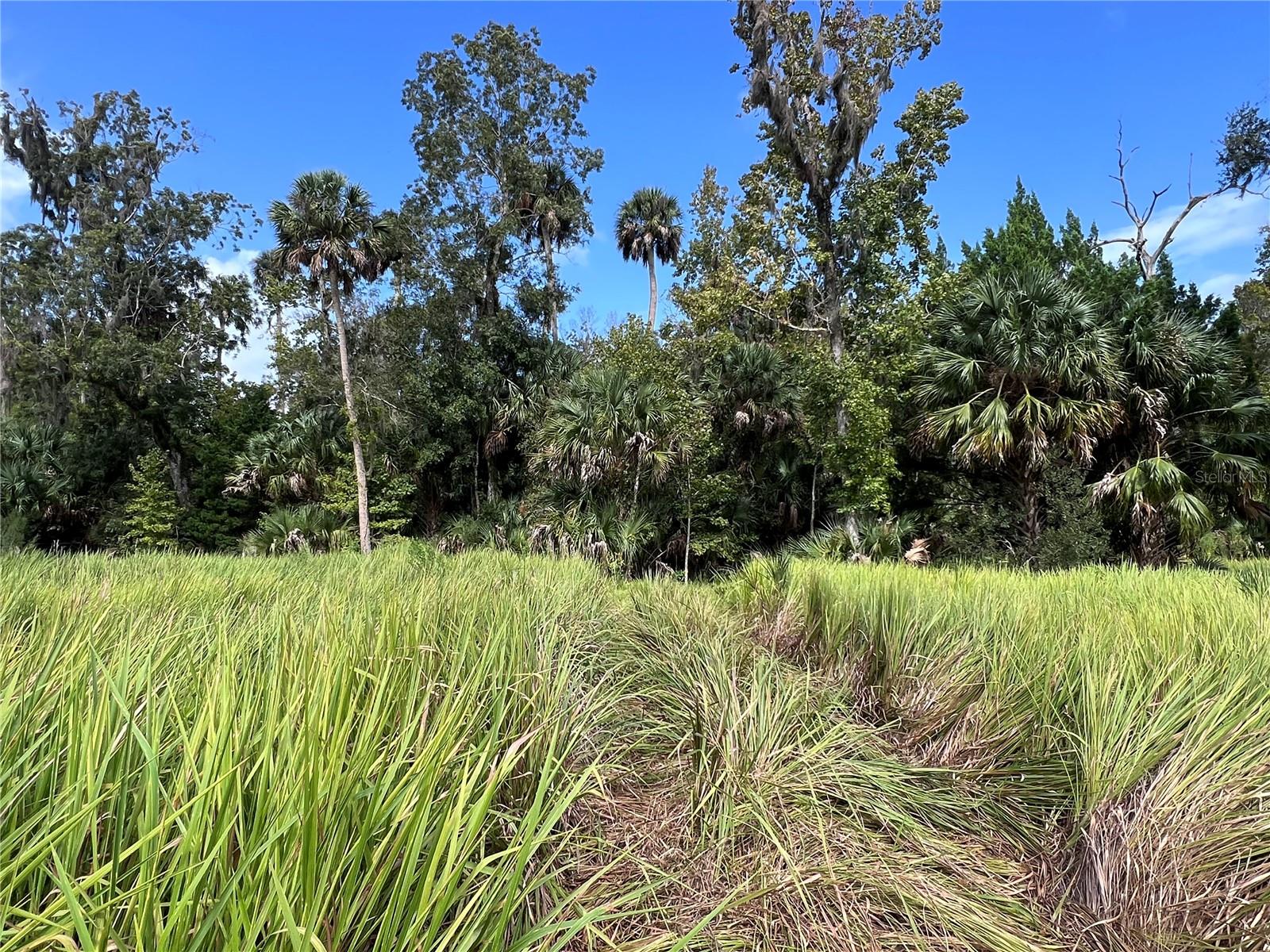 NFS 73 / ALCO RD, ASTOR, FL, 32102