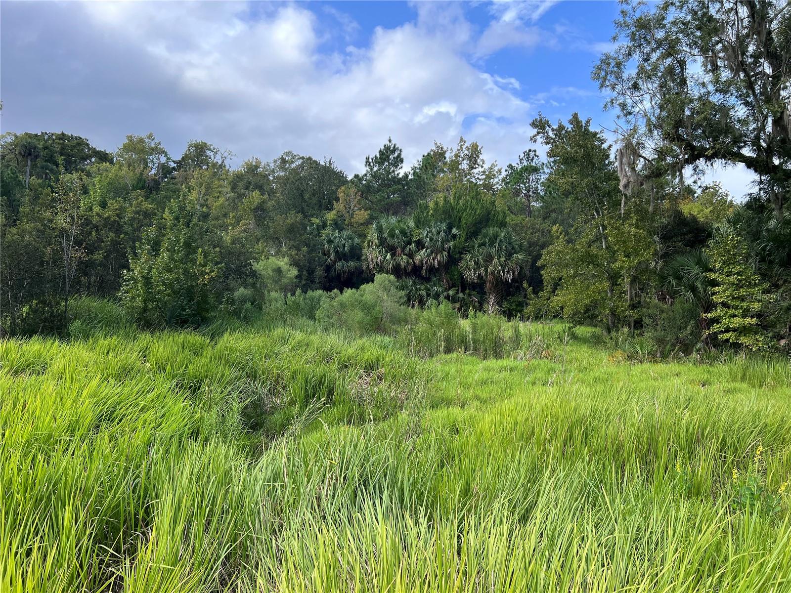 NFS 73 / ALCO RD, ASTOR, FL, 32102