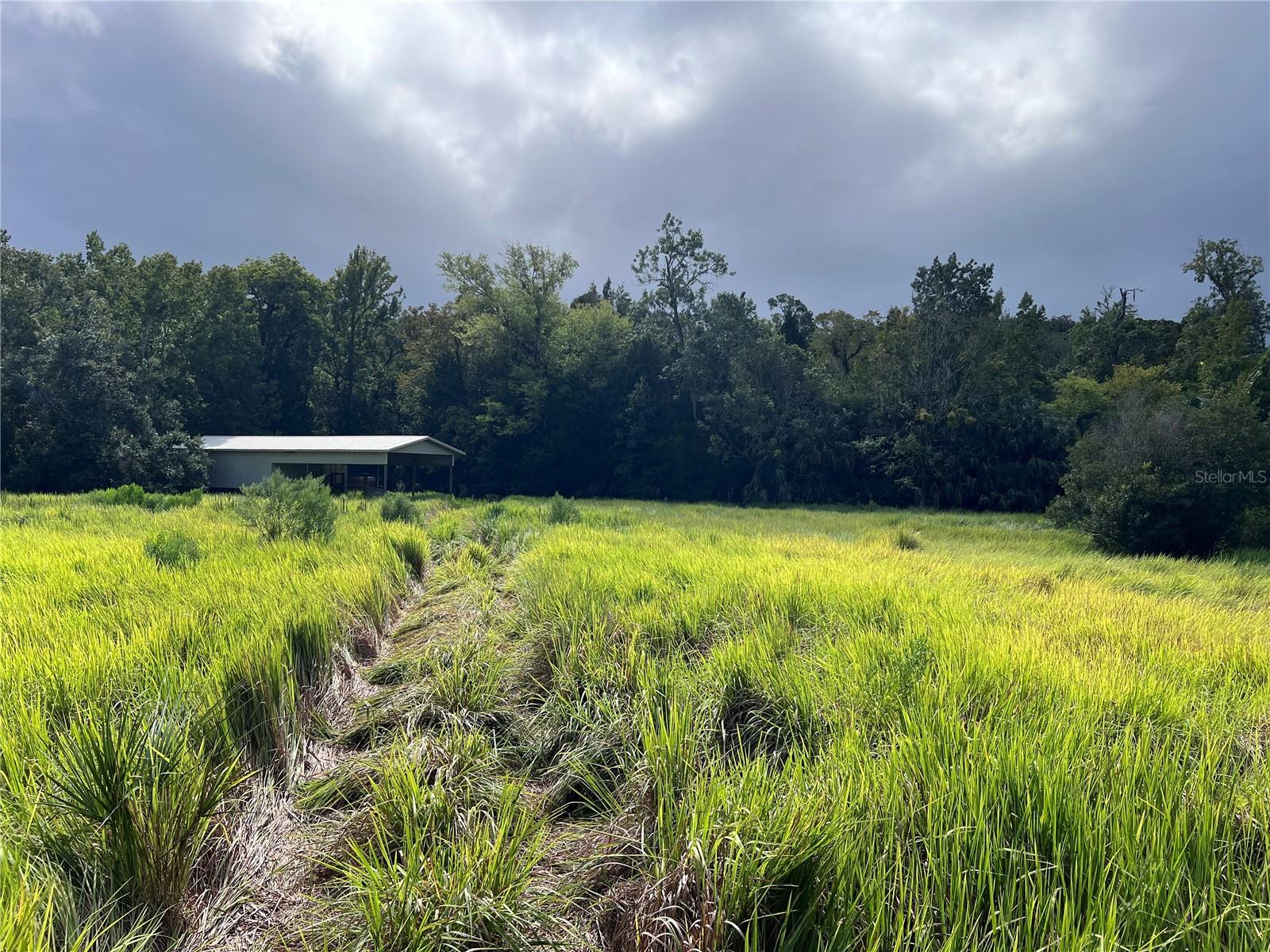 NFS 73 / ALCO RD, ASTOR, FL, 32102